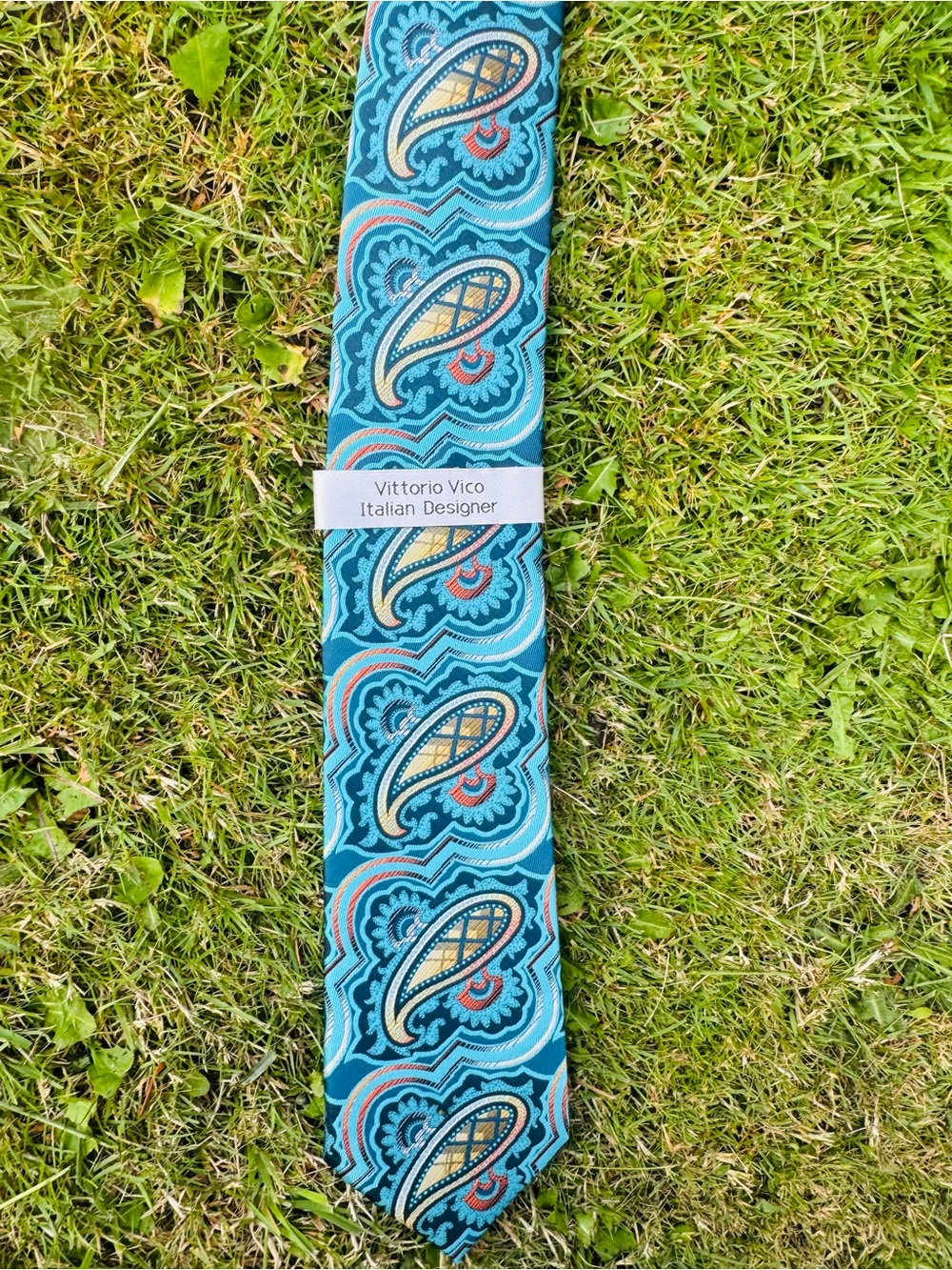 Vittorio Vico Turquoise Paisley Silk Tie